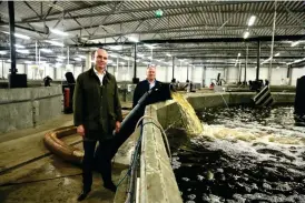  ?? FOTO: TOBIAS PETTERSSON ?? ■
Vd Samppa Ruohtula och produktion­schef Niclas Jansson i Fifax fiskodling på Eckerö. Arkivbild.