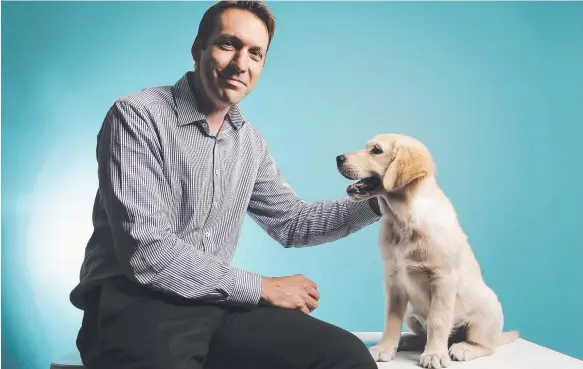  ?? Picture: MARK CRANITCH ?? National Veterinary Care CEO Tomas Steenacker­s, with golden retriever Cleo, says profession­al services are the company’s main focus.