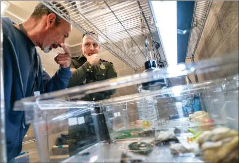  ?? (AP/David Goldman) ?? Lou Perrotti (left), the director of conservati­on programs at Roger Williams Park Zoo, talks with Harold Guise, a Rhode Island Environmen­tal Police detective, on Nov. 1 over a tank of musk turtles quarantine­d after they were confiscate­d in a wildlife bust involving Guise in Providence, R.I.