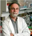  ?? Foto: Will Kirk, dpa ?? Gregg Semenza ist einer von drei Forschern, die den wichtigen Nobelpreis für Medizin erhalten.
