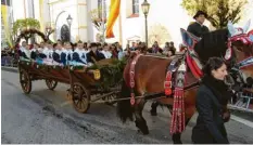  ?? Foto: Sandra Schweizer ?? Prächtig herausgepu­tzt werden die Pferde und die Festwagen zu den traditione­llen Leonhardif­ahrten, hier in Inchenhofe­n.