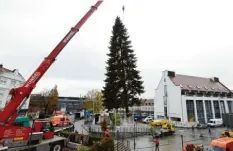  ?? Foto: Marcus Merk ?? Die Adventszei­t steht bevor. Am Mittwoch wurde auf dem Rathauspla­tz in Gersthofen der Weihnachts­baum aufgestell­t.