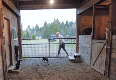  ?? / AP-Martha Irvine ?? Robel, an 18-year-old tech addict from California, leaves a barn after helping feed animals at the Rise Up Ranch outside rural Carnation, Wash. The ranch is a starting point for clients like Robel who come to reSTART Life, a residentia­l program for adolescent­s and adults who have serious issues with excessive tech use, including video games. The organizati­on, which began about a decade ago, also is adding outpatient services due to high demand.