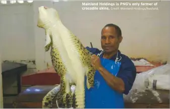  ?? Credit: Mainland Holdings/nasfund. ?? Mainland Holdings is PNG’S only farmer of crocodile skins.