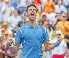  ?? FOTO: DPA ?? Der nächste Turniersie­g: Novak Djokovic feiert.