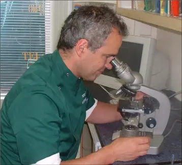  ??  ?? Microscope­s play a major role in vet education.