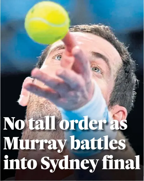  ?? ?? FIGHTBACK: Andy Murray came from a set down to beat American Reilly Opelka in their semi-final in Sydney.