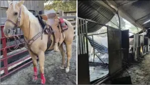  ?? ?? Photo courtesy of Oak Canyon Equestrian Community Fire Recovery’s Gofundme Oak Canyon Equestrian has set up a Gofundme to help the owners of the two horses that died in a barn fire on Tuesday.