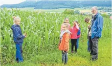  ?? FOTO: BUND ?? Die Gruppe der Schillersc­hüler mit Beat Dorsch vom Bund Spaichinge­n vor einem Maisfeld, dessen chemisch behandelte­r Boden sofort als insektenfe­indlich erkannt und gewertet wurde.