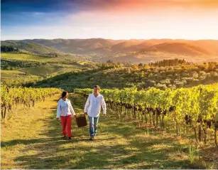  ??  ?? A vine romance: Explore wineries and learn about viticultur­e, left, while enjoying the finest fare on board ship, below left