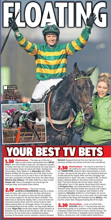  ??  ?? GOLDEN MOMENT: Noel Fehily celebrates after his Champion Hurdle victory on Buveur D’Air, inset