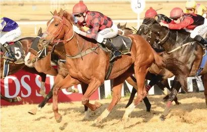  ?? Picture: JC Photograph­ics ?? DOUBLE SEEKER. Psychic won impressive­ly at the Vaal last week and will be looking to make it two in a row when he lines up in Race 7 over 2000m on the Vaal Inside track tomorrow.