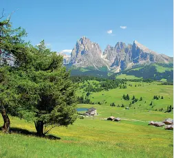  ??  ?? Panorama
Il Sassolungo e il Sasso Piatto, due tra le cime più belle delle Dolomiti, viste dall’Alpe di Siusi. Il progetto delle società Mont Alp srl e Colderaise­r prevede la realizzazi­one di un collegamen­to tra Saltria e il Monte Pana con un trenino a cremaglier­a