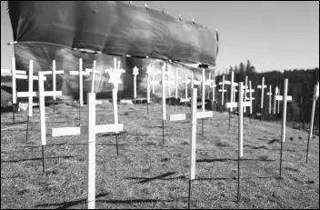  ?? ASSOCIATED PRESS ?? The 73 crosses signifying COVID-19 deaths in Nevada County sit Tuesday on a hill in Grass Valley. California reported its second-highest number of COVID-19 deaths Wednesday and state officials hope President Joe Biden can help them obtain more vaccines.