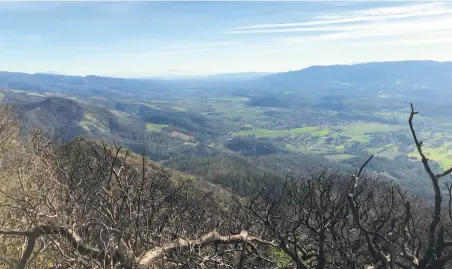  ?? Michael Pechner / Special to The Chronicle ?? The view from Gunsight Rock near Mount Hood towers over the Sonoma Valley. Burned manzanita from the Tubbs Fire is in the foreground; beyond are radiant greens from seasonal rains, with Mount Diablo and Mount Tamalapais on the horizon.