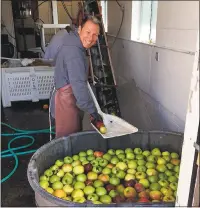  ?? MARTHA ROSS ?? Making cider at Draper Girls Country Farm in Hood River Valley.