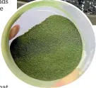  ??  ?? Tahi Spirulina is one of the alternativ­e protein producers highlighte­d in a report as opening up new opportunit­ies for Kiwi agricultur­e. Director Justin Hall says the production of animal and plant protein is not an ‘‘either/or’’. MURRAY WILSON/STUFF