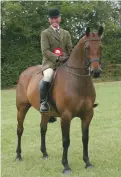  ??  ?? Small hunter: Oscar Fox (Charles Le Moignan) is HOYS bound