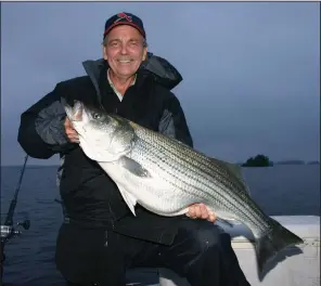  ?? (Arkansas Democrat-Gazette/Bryan Hendricks) ?? Officials with the Arkansas Game and Fish Commission are concerned about not only large stripers, like the one above, but also smaller ones as there have been a lack of both classes among angler reports.