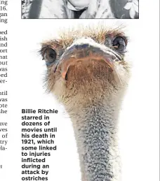  ??  ?? Billie Ritchie starred in dozens of movies until his death in 1921, which some linked to injuries inflicted during an attack by ostriches