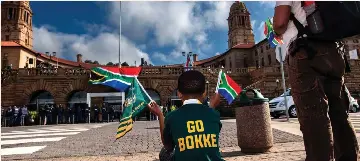 SA Inc gets Springbok fever with top retailers Pick n Pay and MTN ...
