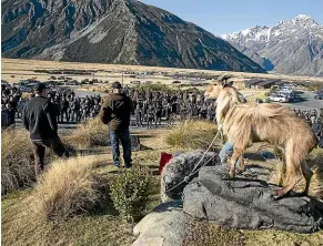  ?? BEJON HASWELL/STUFF ?? Last year protesters against the Department of Conservati­on’s tahr culling plan met at Aoraki/Mt Cook village.