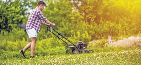  ?? FOTO: CLBX ?? Wer als Gartenbesi­tzer nur einen Teil seiner Wiese mäht, oder einen Blühstreif­en stehen lässt, leistet einen Beitrag zum Artenschut­z.