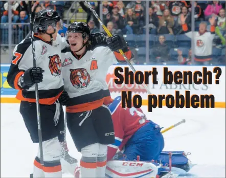  ?? NEWS PHOTO RYAN MCCRACKEN ?? Medicine Hat Tigers Matt Bradley (7) and Mason Shaw celebrate Bradley's goal during the first period of Saturday's WHL game against the Edmonton Oil Kings at the Canalta Centre.