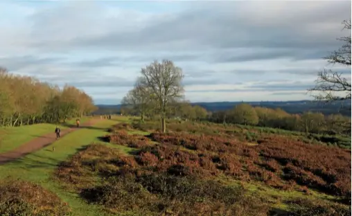  ??  ?? Walkers on the path along Kinver Edge, which overlooks heathland cloaked in bracken and heather. In autumn, the russet landscape complement­s the warm hues of the underlying rock.