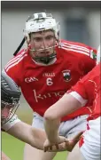  ??  ?? Glenealy’s Danny Staunton.