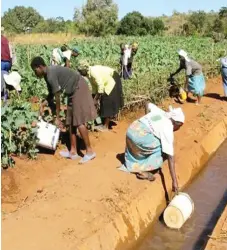  ?? (File Picture) ?? At least US$52,68 million is expected to be disbursed under the Government’s smallholde­r irrigation revitalisa­tion programme.