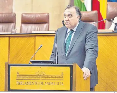  ?? P. A. ?? El consejero de Turismo, Arturo Bernal, durante su comparecen­cia en el Parlamento.