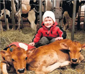  ??  ?? Shawn et sa maman Sophie Champagne, de Saint-Honoré-de-Shenley, sont des partenaire­s un peu magiques, dans la vie comme à la ferme, et Shawn était bien content de l’arrivée de deux nouvelles filles dans le troupeau dans le temps des Fêtes.