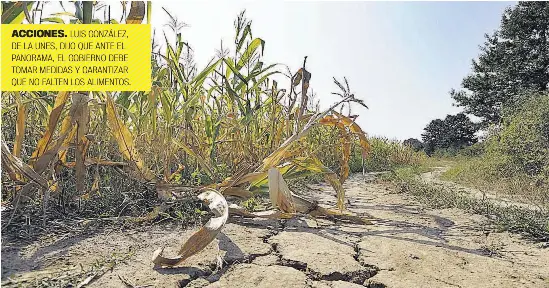 Hasta 80 % de probabilid­ad de sequía meteorológ­ica en el oriente y la ...