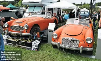  ??  ?? Projects present themselves in droves at the Beaulieu Autojumble, 4-5 Sept