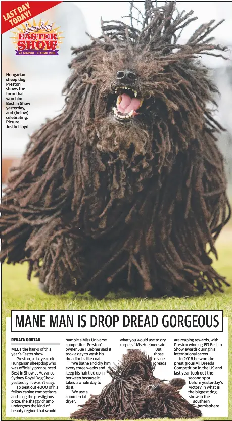 Mane Man Is Drop Dread Gorgeous Pressreader