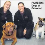  ??  ?? PAWSING: Dogs at Oakwood