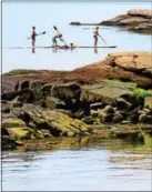  ?? PETER HVIZDAK - NEW HAVEN REGISTER ?? Four boys of summer paddle themselves around near Democrat rock near Shore Road in Branford.