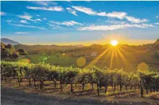  ?? FOTOS: DPA ?? Von der Sonne verwöhnt: Das Napa Valley zählt zu den bekanntest­en Weinregion­en der USA.
