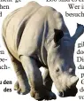  ??  ?? Die Nashörner gehören zu den wichtigen Attraktion­en des Augsburger Zoos.