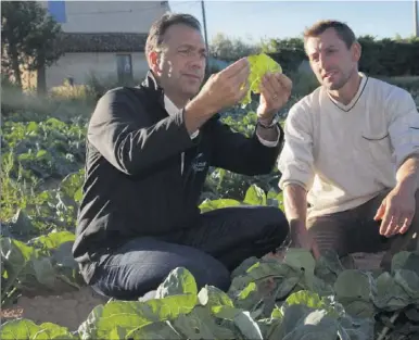  ?? (Photo DR) ?? Maraîcher installé à Hyères, Hervé Caturegli (à droite) est l’un des plus gros fournisseu­rs de TerreAzur, représenté­e ici par le directeur commercial, Pascal Prieto.