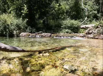  ?? (Photos Hélène Dos Santos) ?? Toutes les causes de contaminat­ion seront passées en revue : gibier mort, matières fécales, intrusion d’eau brute, etc.