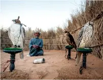  ?? Supplied photos ?? The Heritage Village set up at the Global Village showcases traditiona­l Emirati hospitalit­y and age-old skills. —