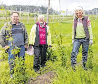  ?? FOTO: OH ?? Jetzt kann der Hopfen nach oben klettern: Hopfenbaue­r Siegfried Müller und die Lindauer Erntehelfe­rinnen Evi Eberhardt und Sabine Kleiner (von links) sind zufrieden mit ihrer Arbeit.