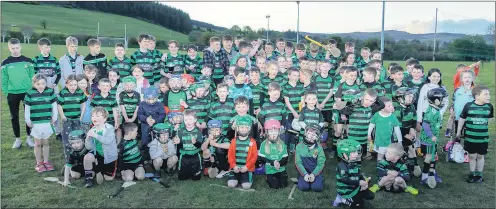  ?? ?? The Glenroe U15 hurlers, county Féile champions, surrounded by young supporters.