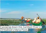  ??  ?? Canoeing down the Zambezi River in Zimbabwe’s Mana Pools.