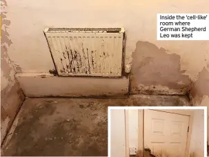  ?? ?? Inside the ‘cell-like’ room where German Shepherd Leo was kept