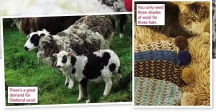  ??  ?? There’s a great demand for Shetland wool. You only need three shades of wool for these hats.