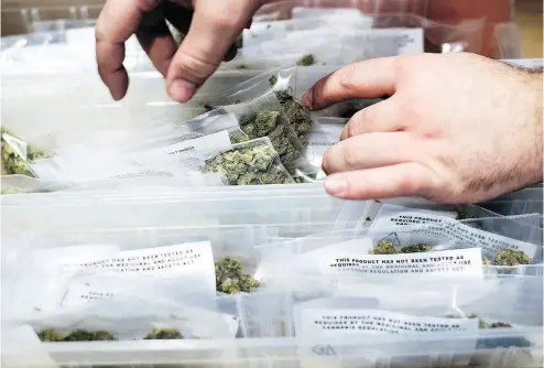  ?? NOAH BERGER / THE ASSOCIATED PRESS FILES ?? An employee stocks cannabis at a store before its first day of recreation­al marijuana sales in San Francisco earlier this year. The official legalizati­on of marijuana in Canada means the industry will face its harshest spotlight yet.