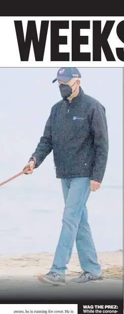  ?? ?? WAG THE PREZ: While the coronaviru­s rages and Americans wait for the free COVID tests that he promised, President Biden walks his dog Commander on the beach in Delaware.